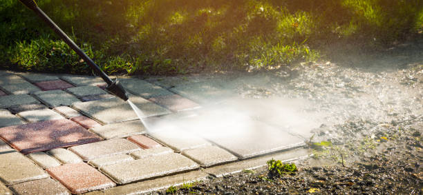 Best Playground Equipment Cleaning  in Union City, TN